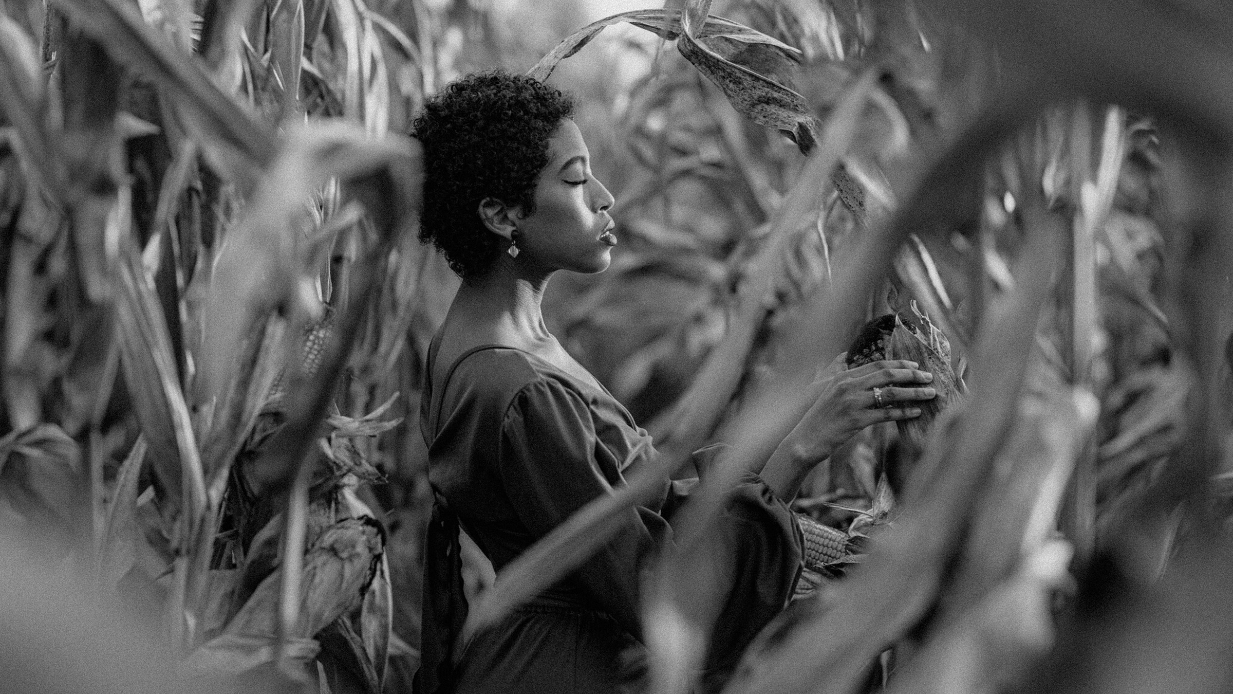 Profile in cornfields, black and white Artistic black and white portrait of a woman among dried corntalks, side light illuminating her profile in contemplation